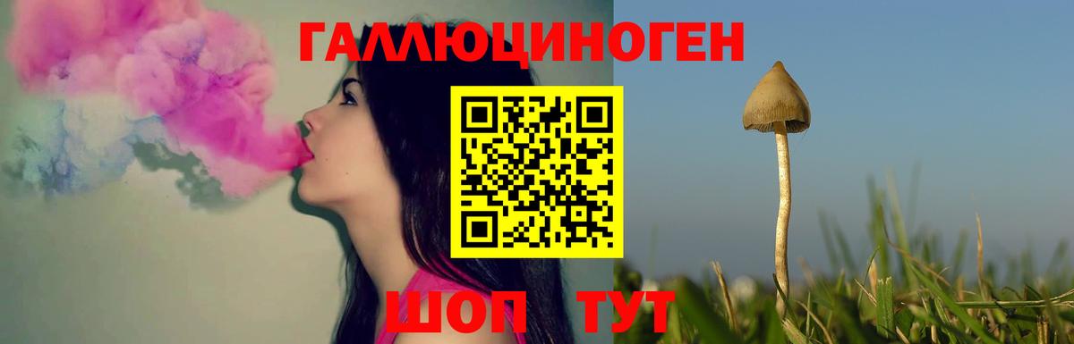 Мелеуз  Псилоцибиновые грибы мицелий  Вход с VPN 